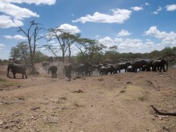 Western_Corridor2009-24